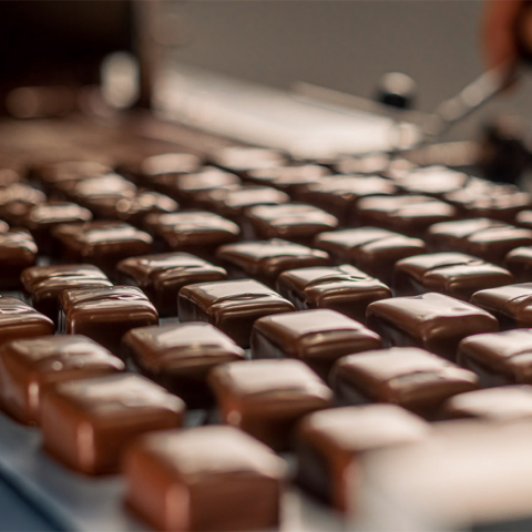 Fabrication chocolats enrobés