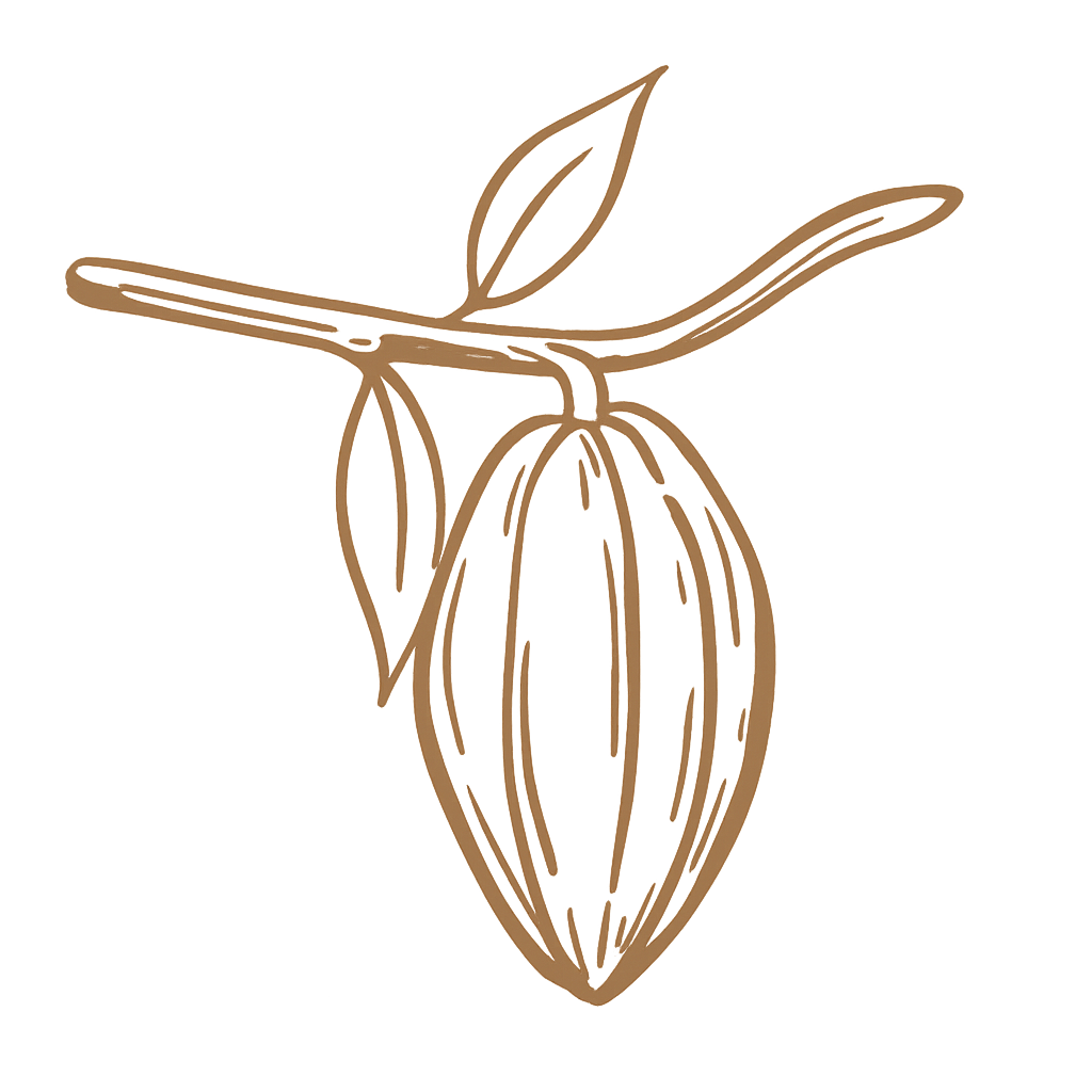 Gousse de cacao suspendue